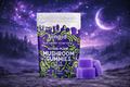 Binoid Mushroom Gummies – Blackberry Honeydew (Astral Plane | Relax) 15 Count