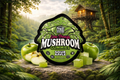 TRE House Extra Strength Mushroom Gummies – Sour Apple (10 Count)