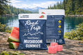 Road Trip Mushroom Gummies (2-Pack) - Watermelon