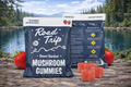 Road Trip Mushroom Gummies (2-Pack) - Strawberry